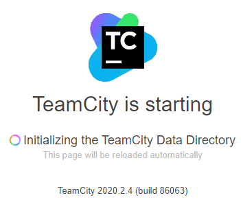 Screenshot of TeamCity setting things up.