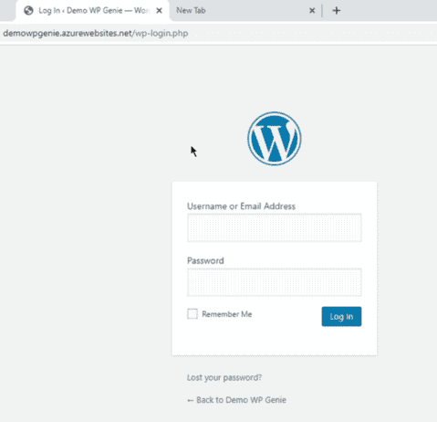 Login to WordPress