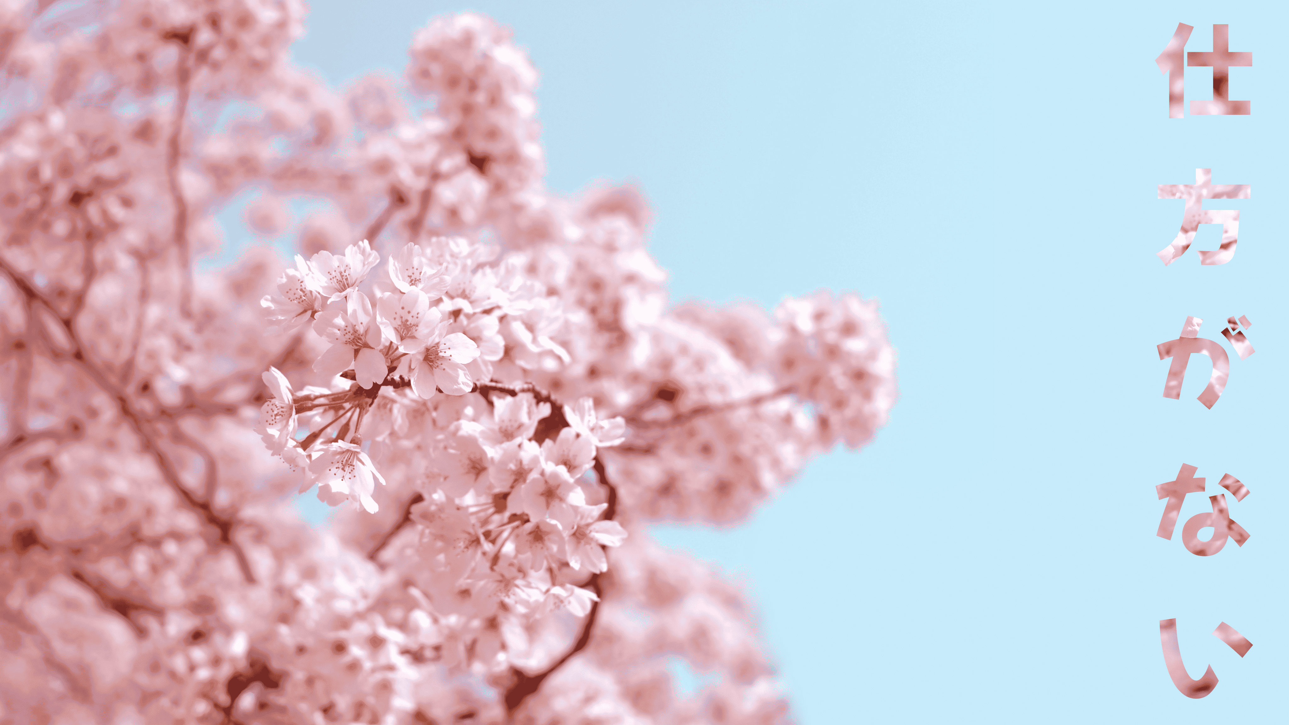Shikata ga nai (仕方がない) / Image source: Unsplash / Made using Figma