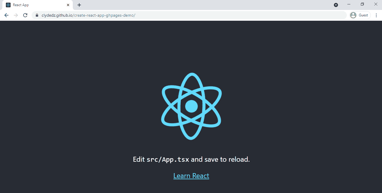 Screenshot showing the demo website.