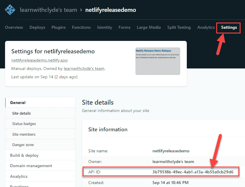 Image showing how to capture the site ID from Netlify.