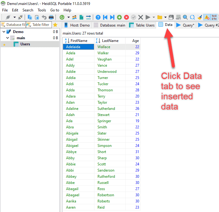 Image of the data contained in the table and viewed using HeidiSQL
